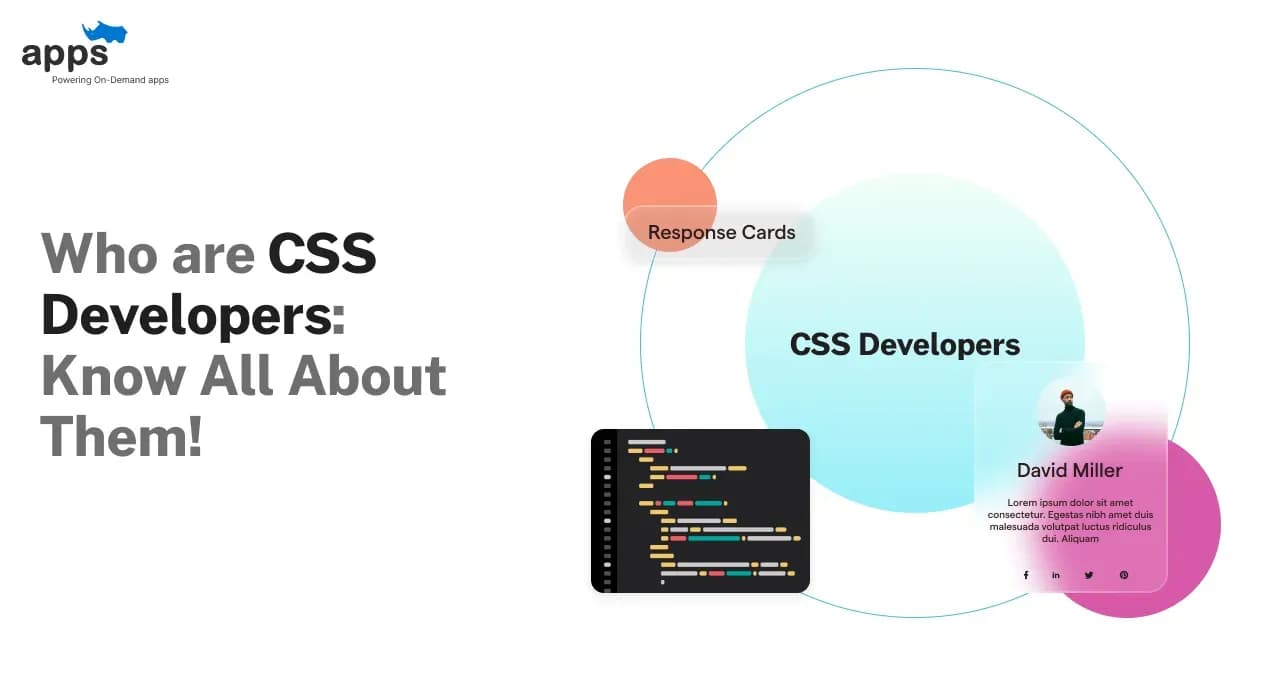 Who are CSS Developers: Know All About Them!