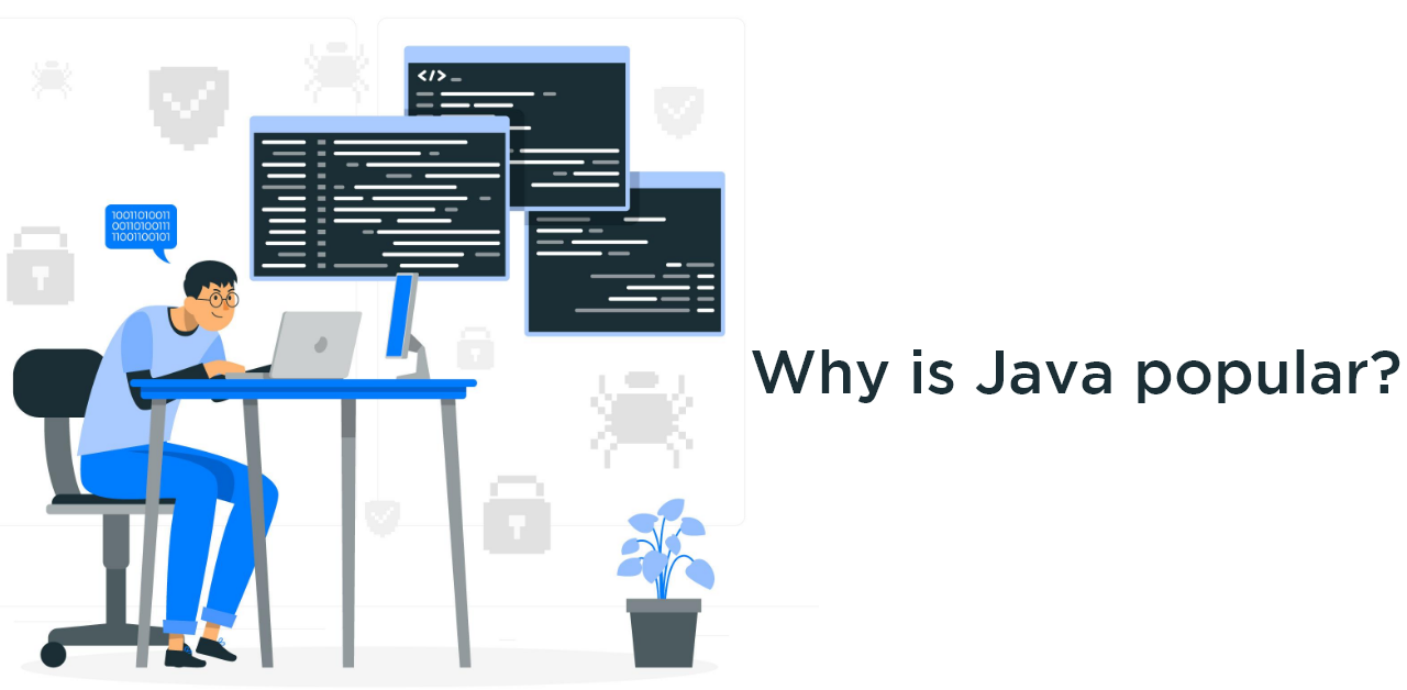 Why is Java popular?